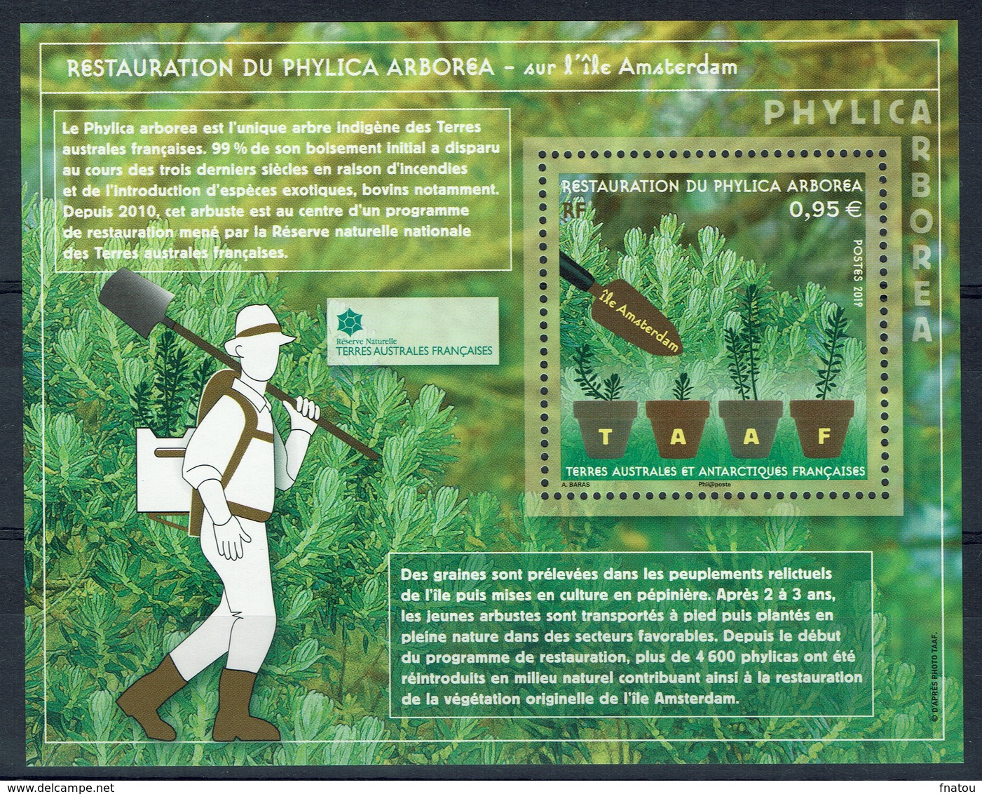 FSAT (TAAF), Restoration Of Phylica Arborea, 2019, MNH VF  Souvenir Sheet Of 1 - Unused Stamps