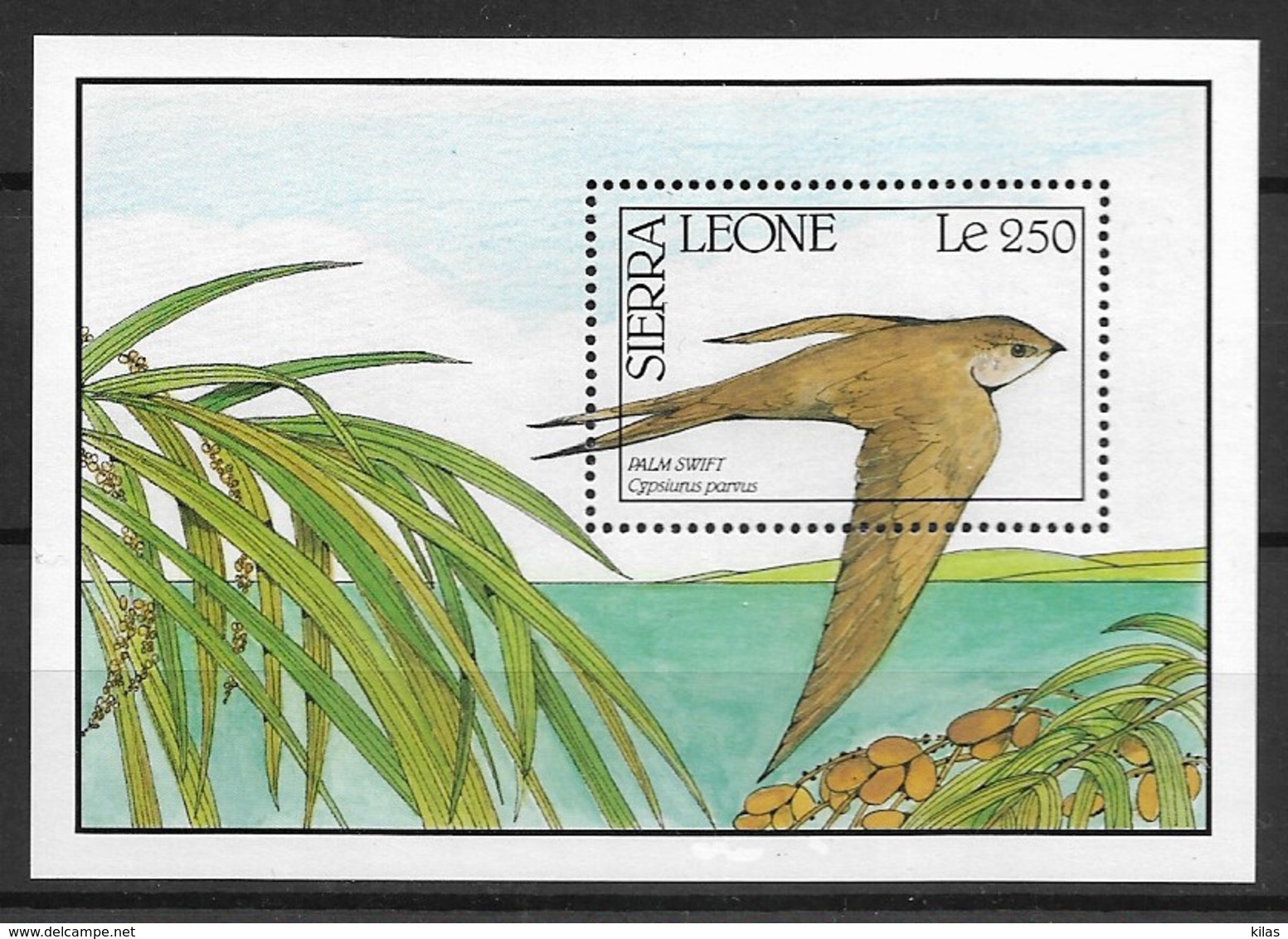 SIERRA LEONE 1990 Birds "swallow " - Zwaluwen