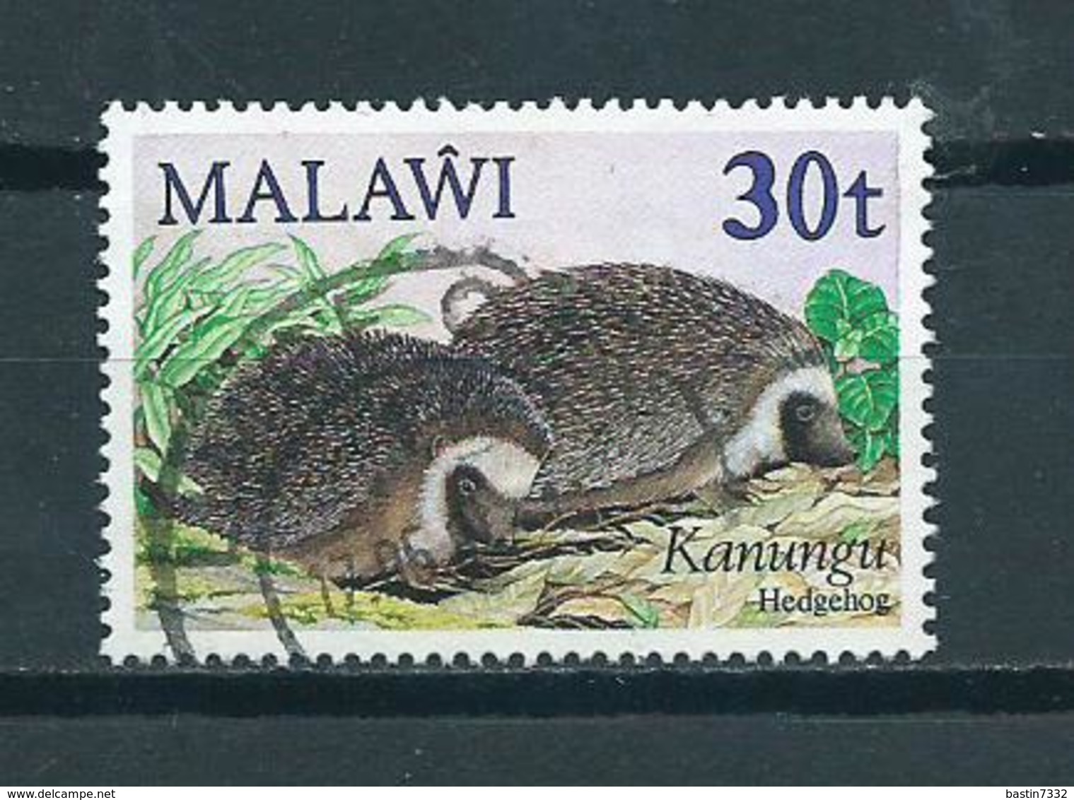 1984 Malawi Hedgehog 30t. Used/gebruikt/oblitere - Malawi (1964-...)