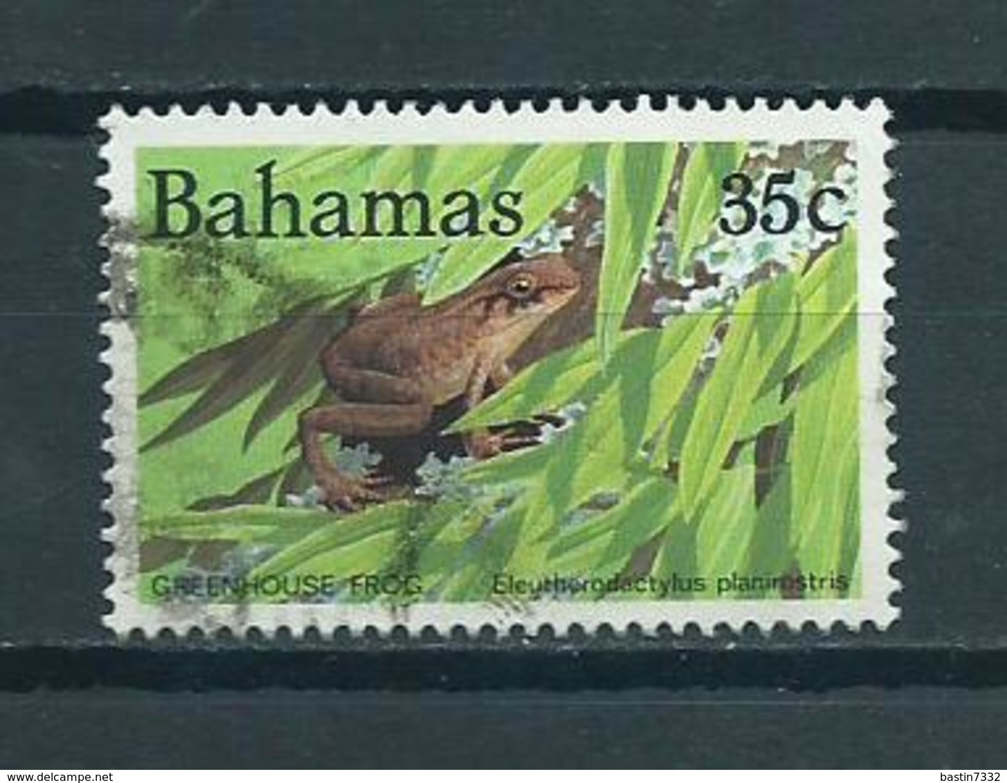 1984 Bahamas Frog,frosch,kikker Used/gebruikt/oblitere - Bahama's (1973-...)