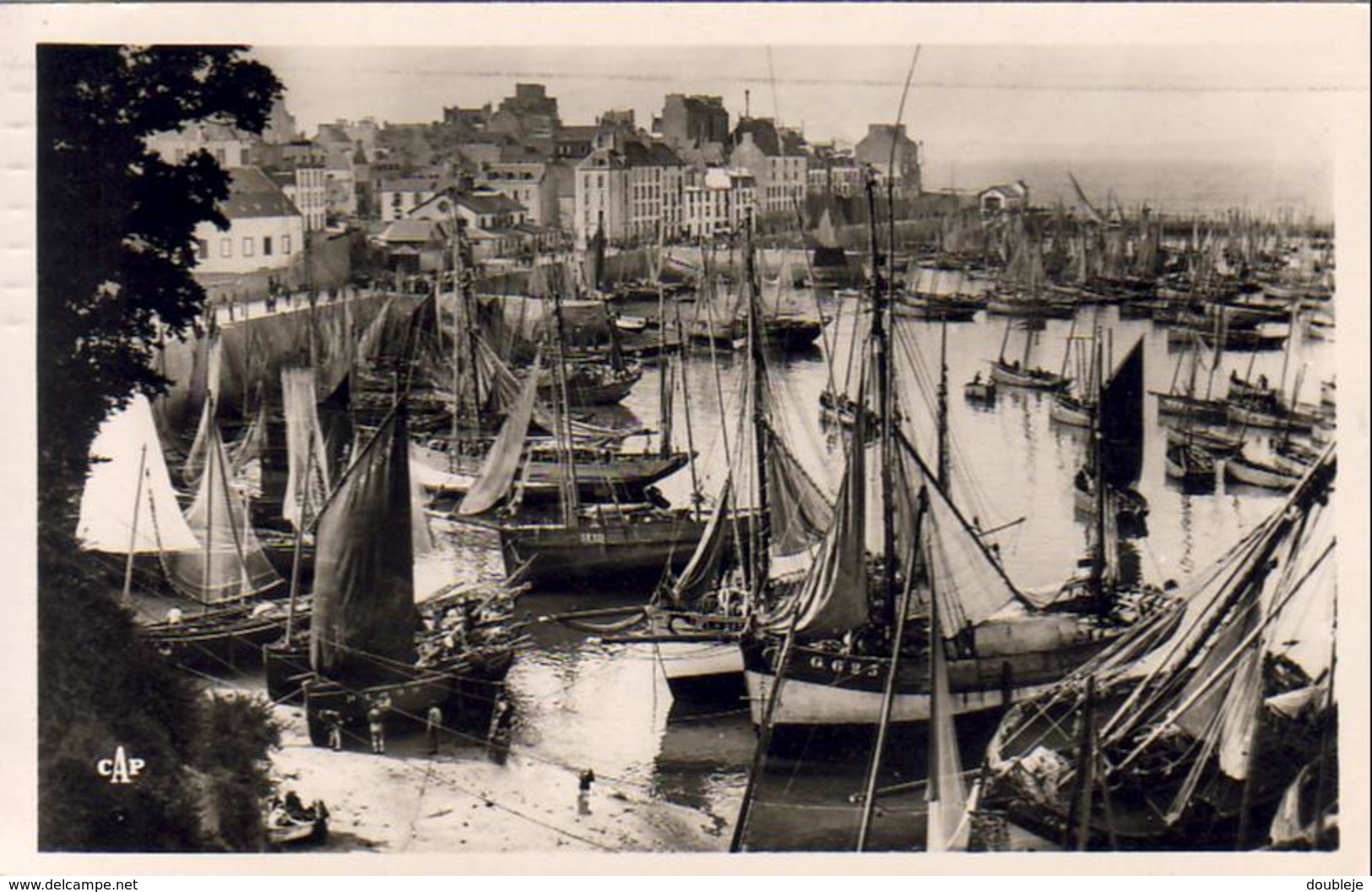 D29  DOUARNENEZ  Le Grand Port Au Retour Des Barques   ..... - Douarnenez