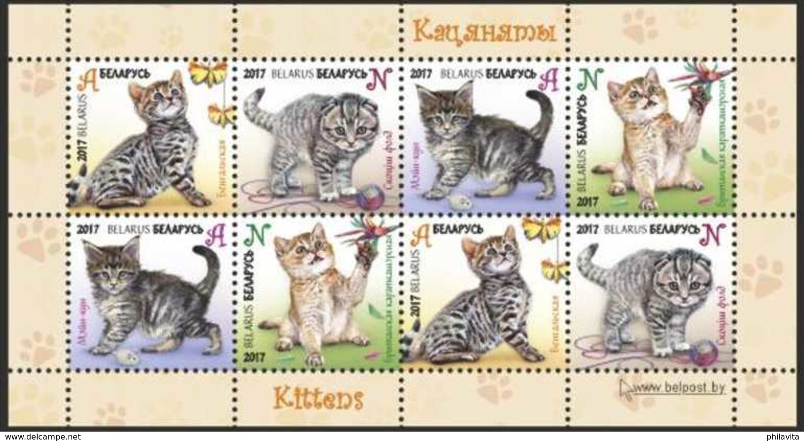 2017 Belarus - Kittens / Kätzchen -MS Of 2 Sets- Paper - MNH**  MiNr. 1169 - 1172 - Belarus