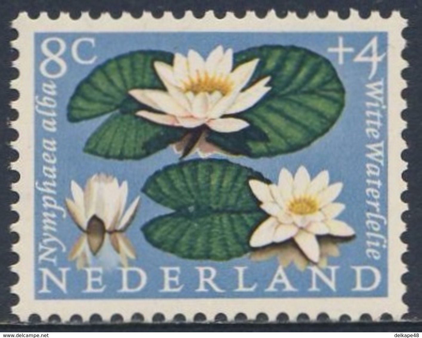 Nederland Netherlands Pays Bas 1960 Mi 748 YT 721 Sc B345 SG 895 ** Nymphaea Alba : Weiße Seerose / White Water-lily - Andere & Zonder Classificatie