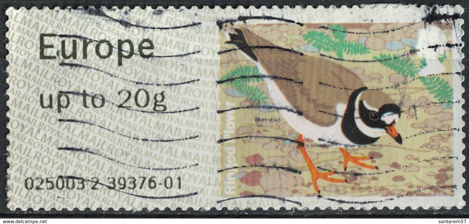 Royaume Uni 2011 Vignette Bird Oiseau Ringed Plover Pluvier Annelé SU - Post & Go (distributeurs)