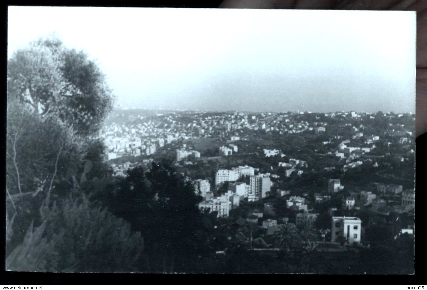 GIBRALTAR OR CEUTA OR MOROCCO OR NORTH AFRICA - FOTOCARTOLINA ANNI 30-40  N°5 - Gibilterra