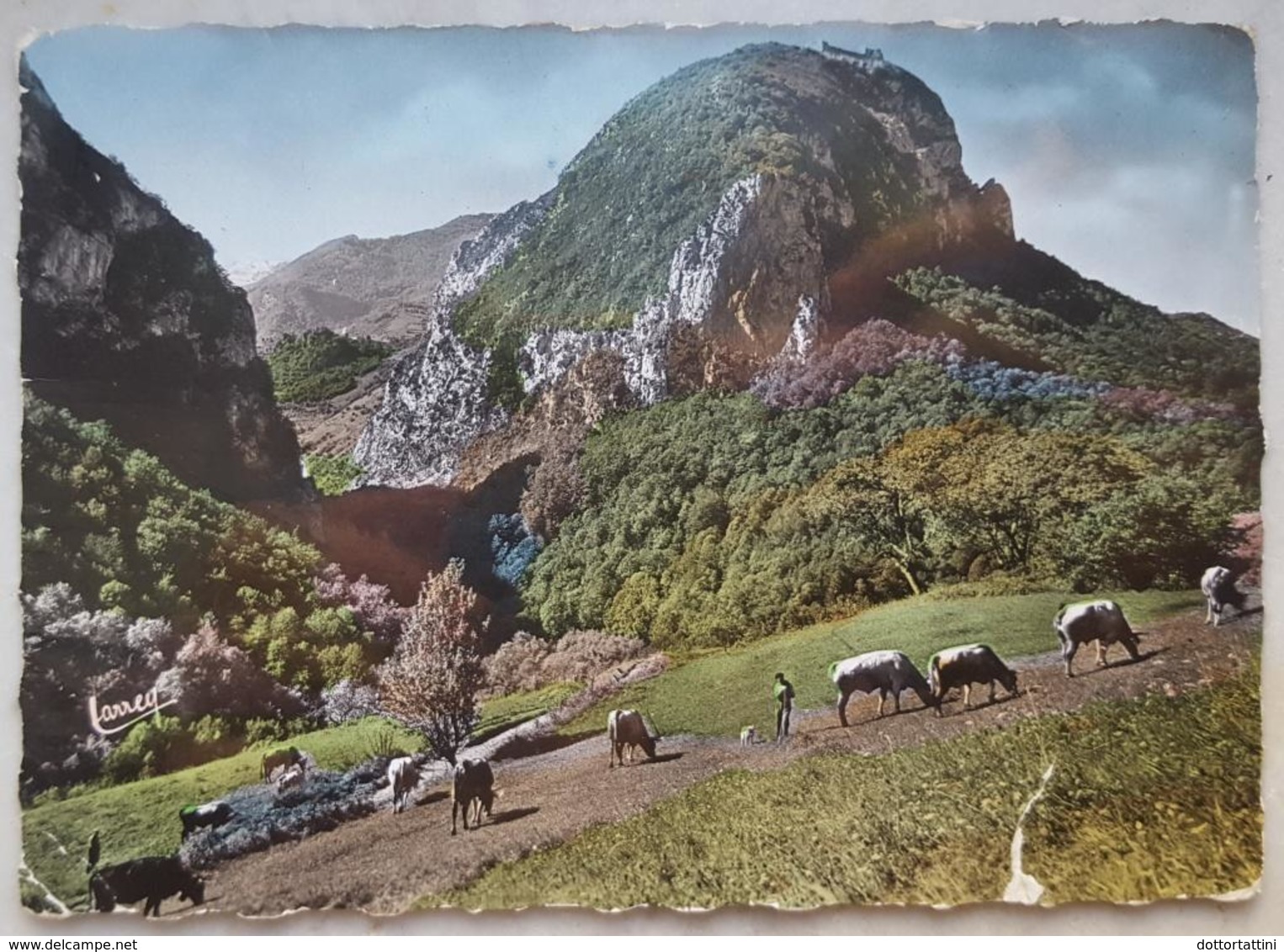 Environs De LAVELANET (Ariège) - Le Chateau De Montsegur,  Vu De Serre Longue  Vg  F2 - Lavelanet