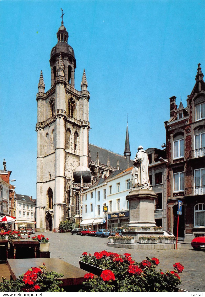 CPM - HALLE - Grote Markt Met Sint-Martinusbasiliek - Halle