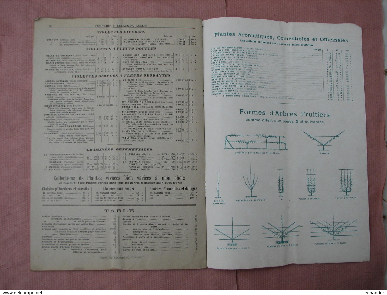 PEPINIERES  DELAUNAY  Angers - Doué La Fontaine 2 Catalogues 1926 Et 1931 TBE D'ensemble - Autres & Non Classés