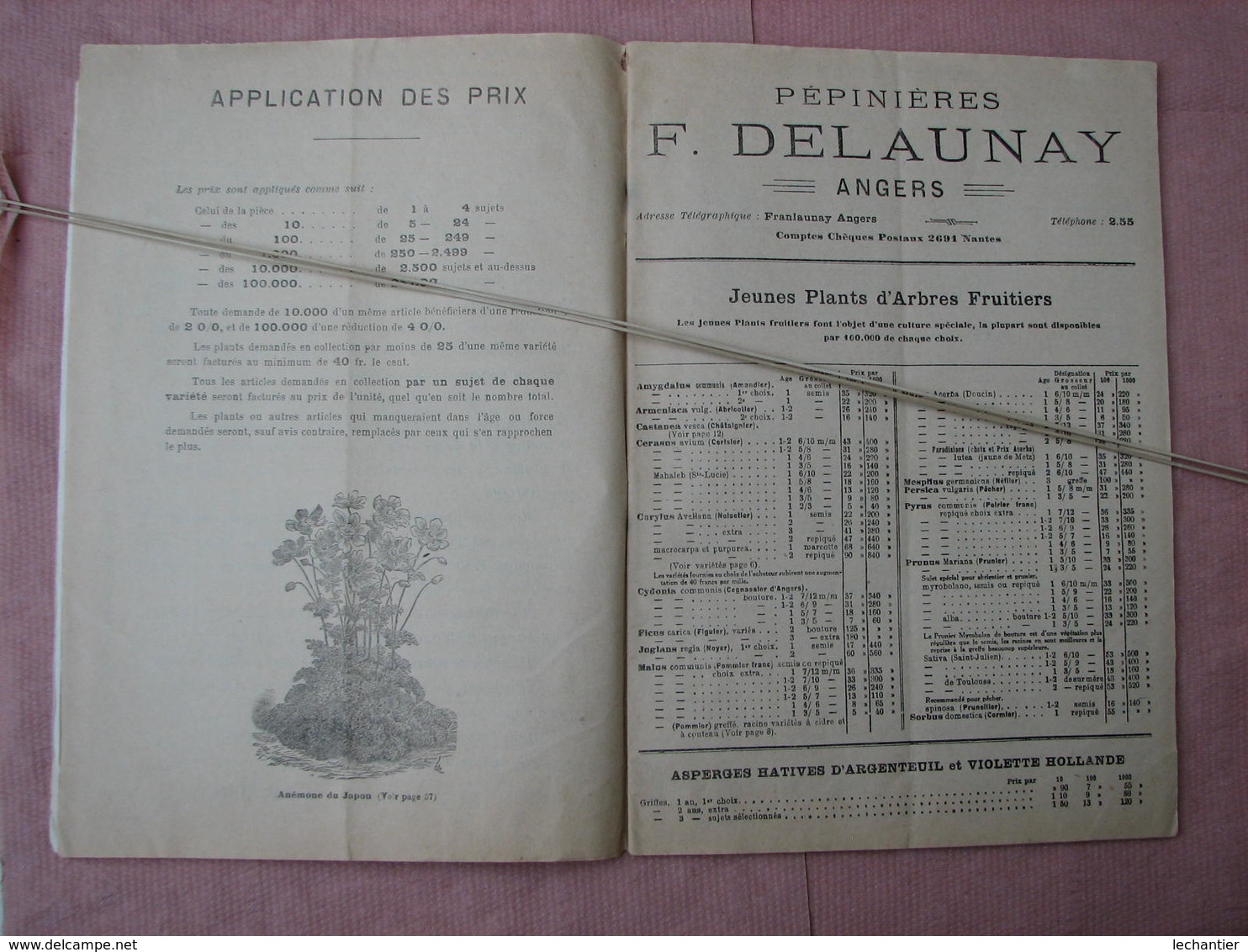 PEPINIERES  DELAUNAY  Angers - Doué la Fontaine 2 catalogues 1926 et 1931 TBE d'ensemble