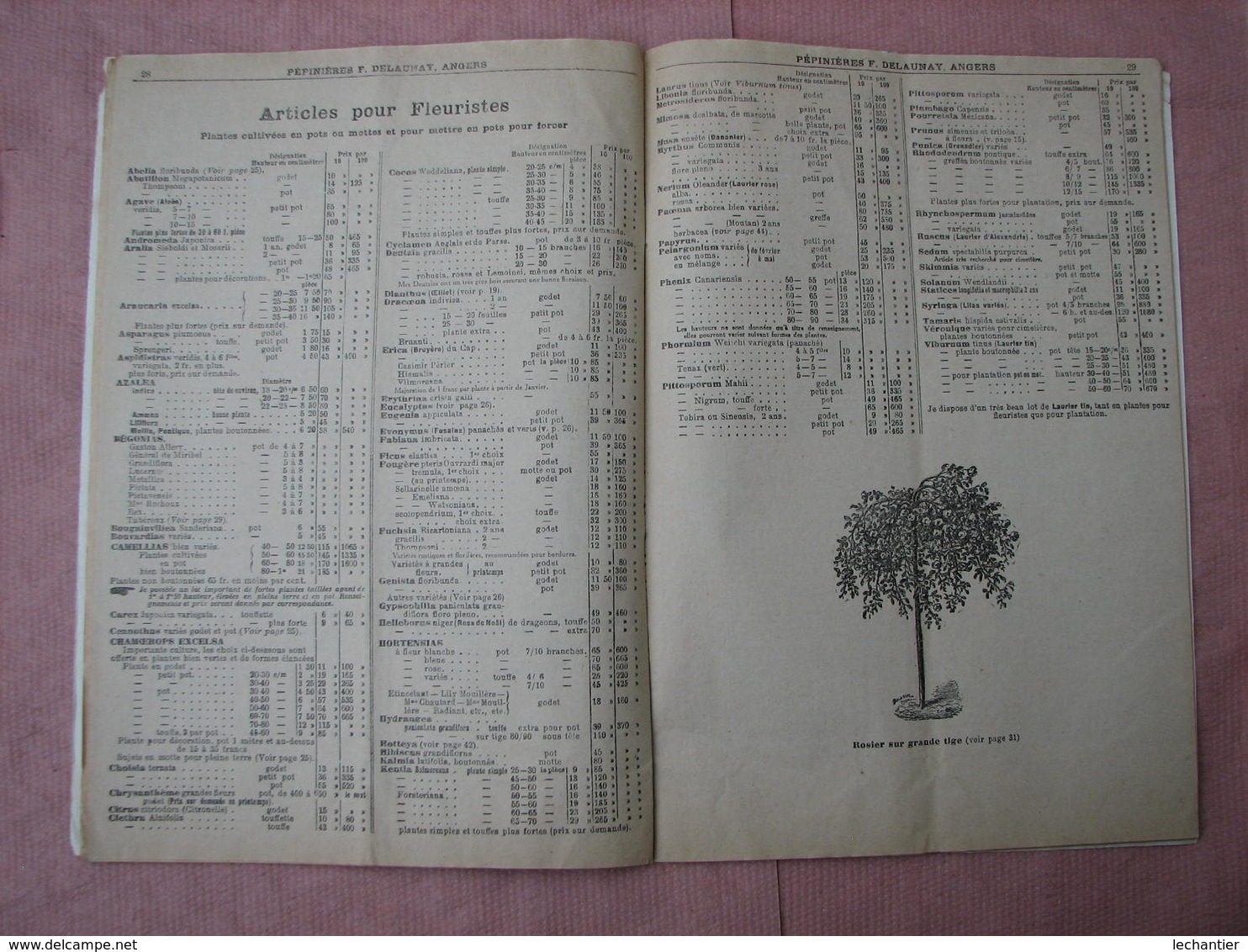 PEPINIERES  DELAUNAY  Angers - Doué la Fontaine 2 catalogues 1926 et 1931 TBE d'ensemble