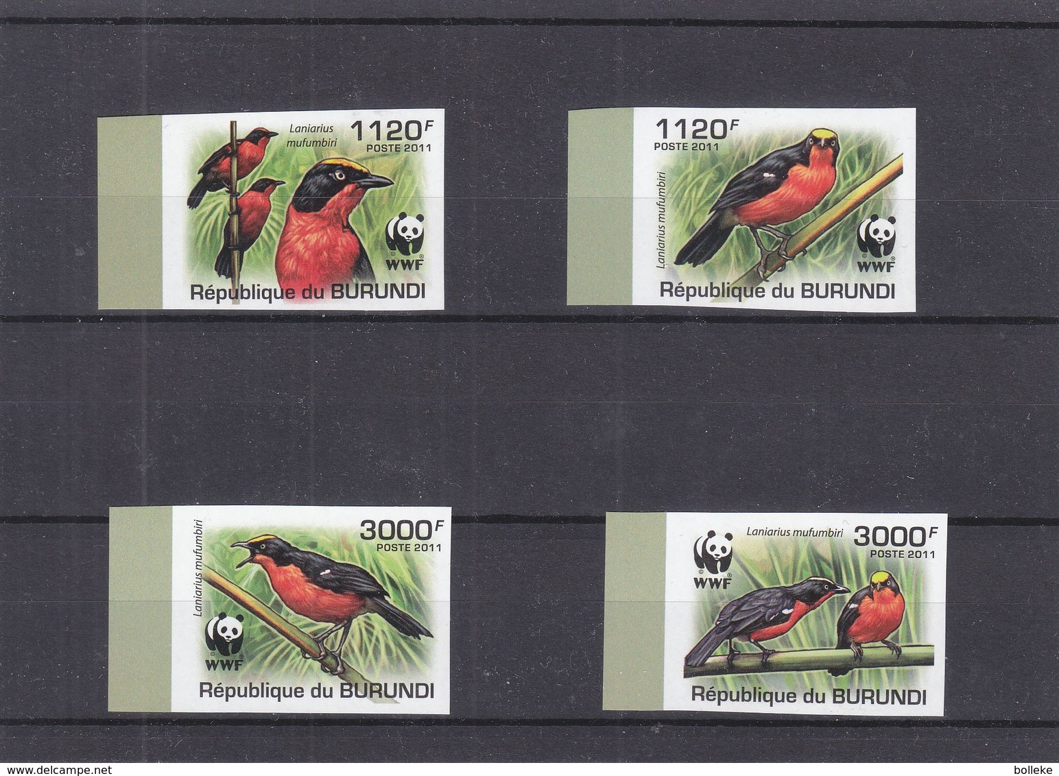 W.W.F. - Burundi - COB 1218 / 21 ** - NON Dentelés - Oiseaux - Valeur 37 Euros - Neufs