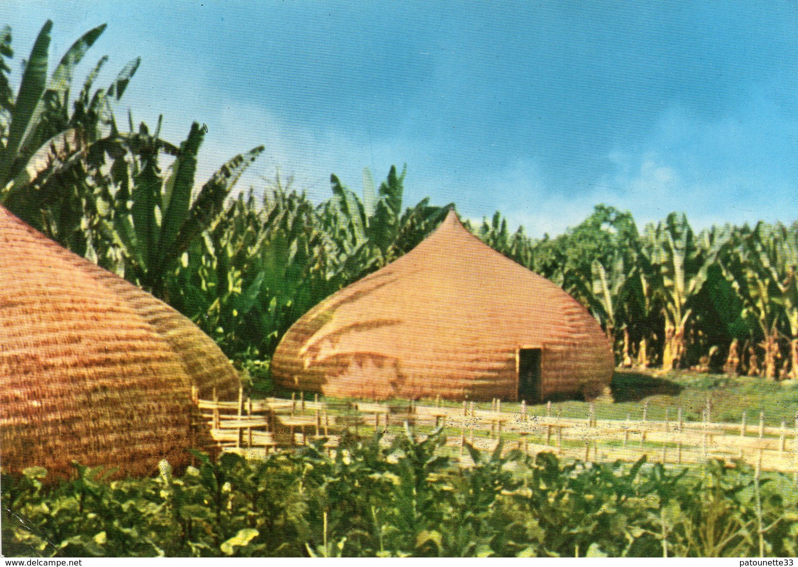 ETHIOPIA TYPICAL DWELINGS OF WOVEN BAMBOO SIDAMO PROVINCE CARTE PHOTO - Ethiopie