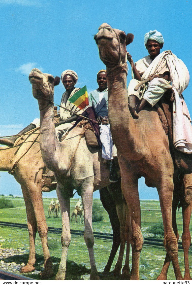 ETHIOPIA CAMEL CARAVAN MASSAWA CARTE PHOTO - Ethiopia