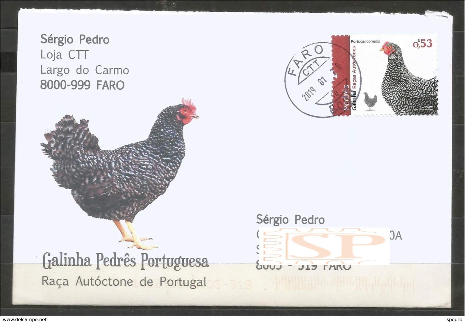 Portugal 2019 Raças Autóctones Galinha Pedrês Pollo Poulet Chicken Sobrescrito Circulado - Cartas & Documentos