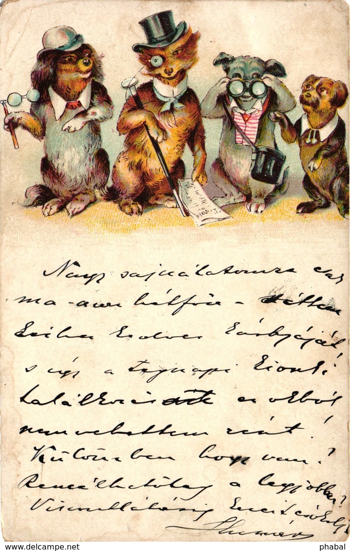 Dogs, Four Elegant Dog Gentlemen, Funny Old Litho Postcard 1902 - Dogs