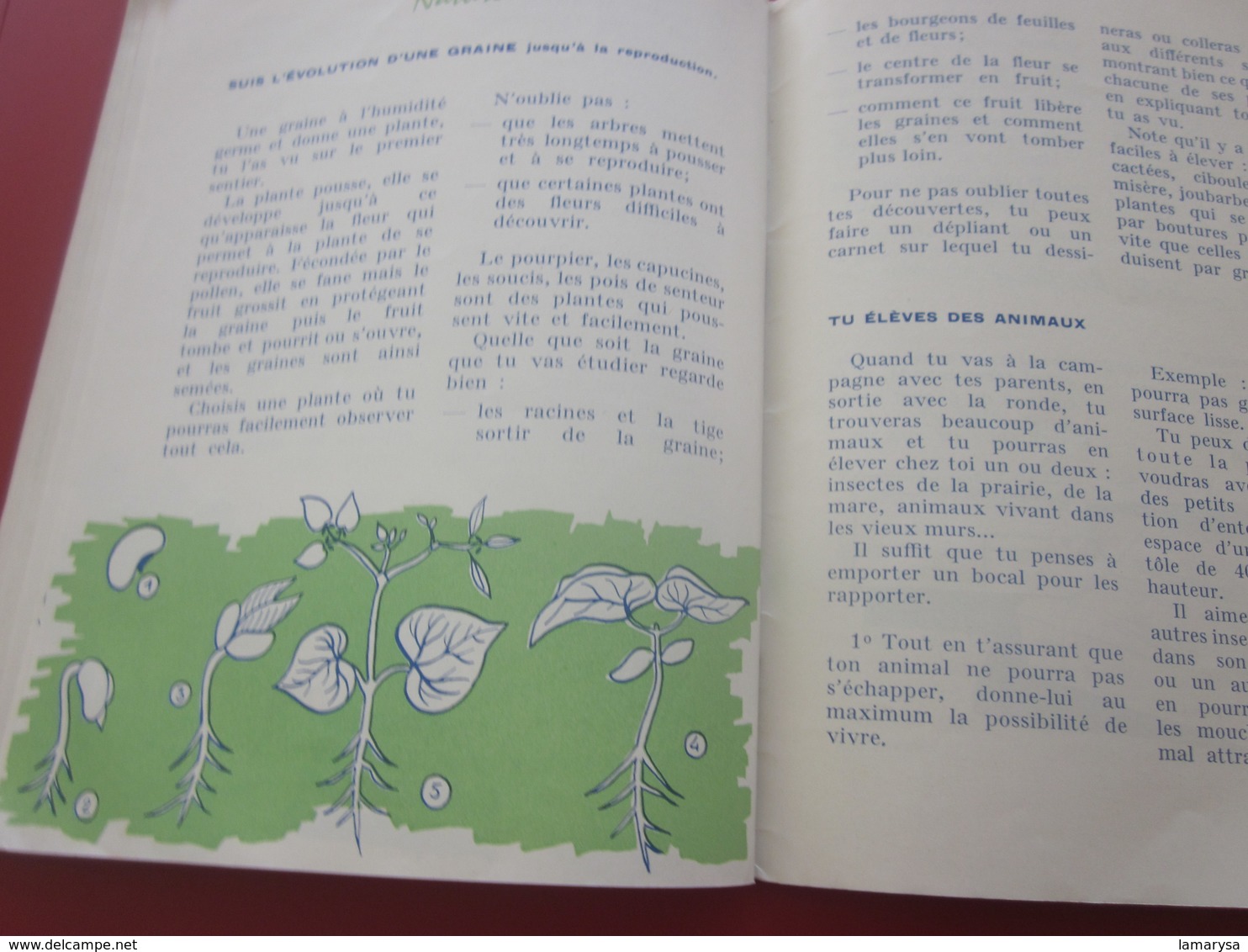 CARNET JEANNETTES du 3é SENTIER SCOUT Scoutisme GUIDES DE FRANCE MONTMARTRE-SCOUTING JAMBOREE VERS LA FLEUR D'OR 1961