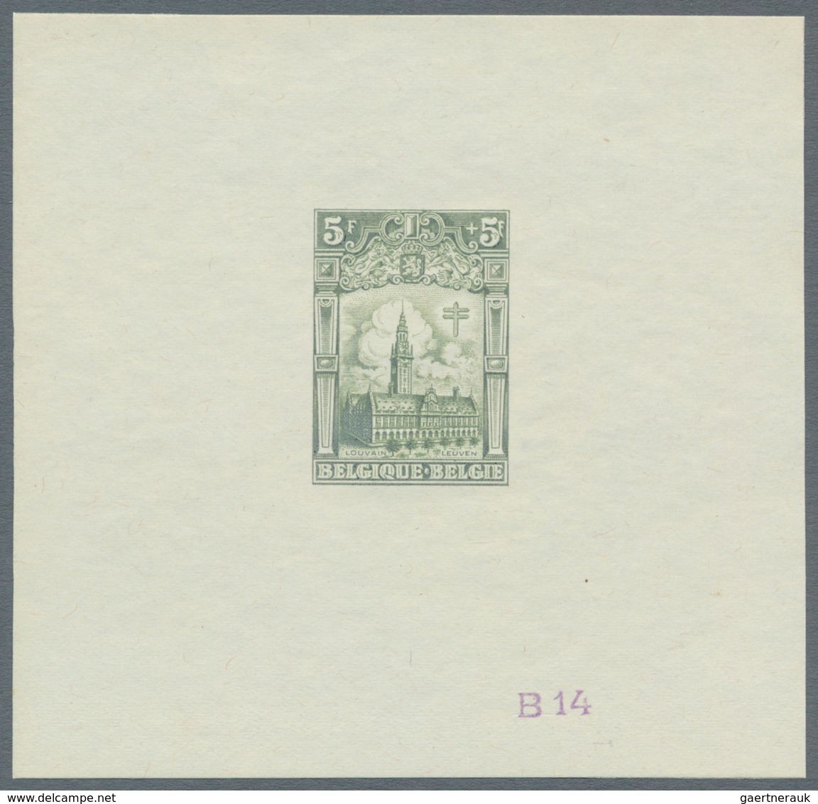 Belgien: 1928, Tuberculosis Fighting, 5fr.+5fr. "Leuven University", set of 20 epreuves in different