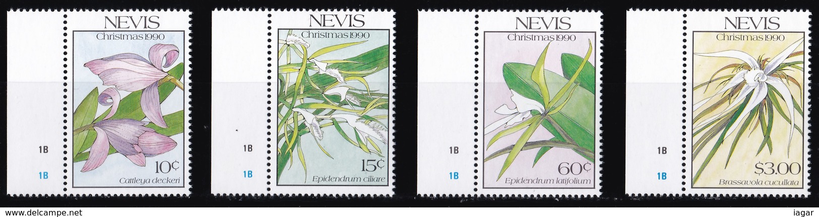 THEMATIC ORCHIDS - NEVIS - Orchids