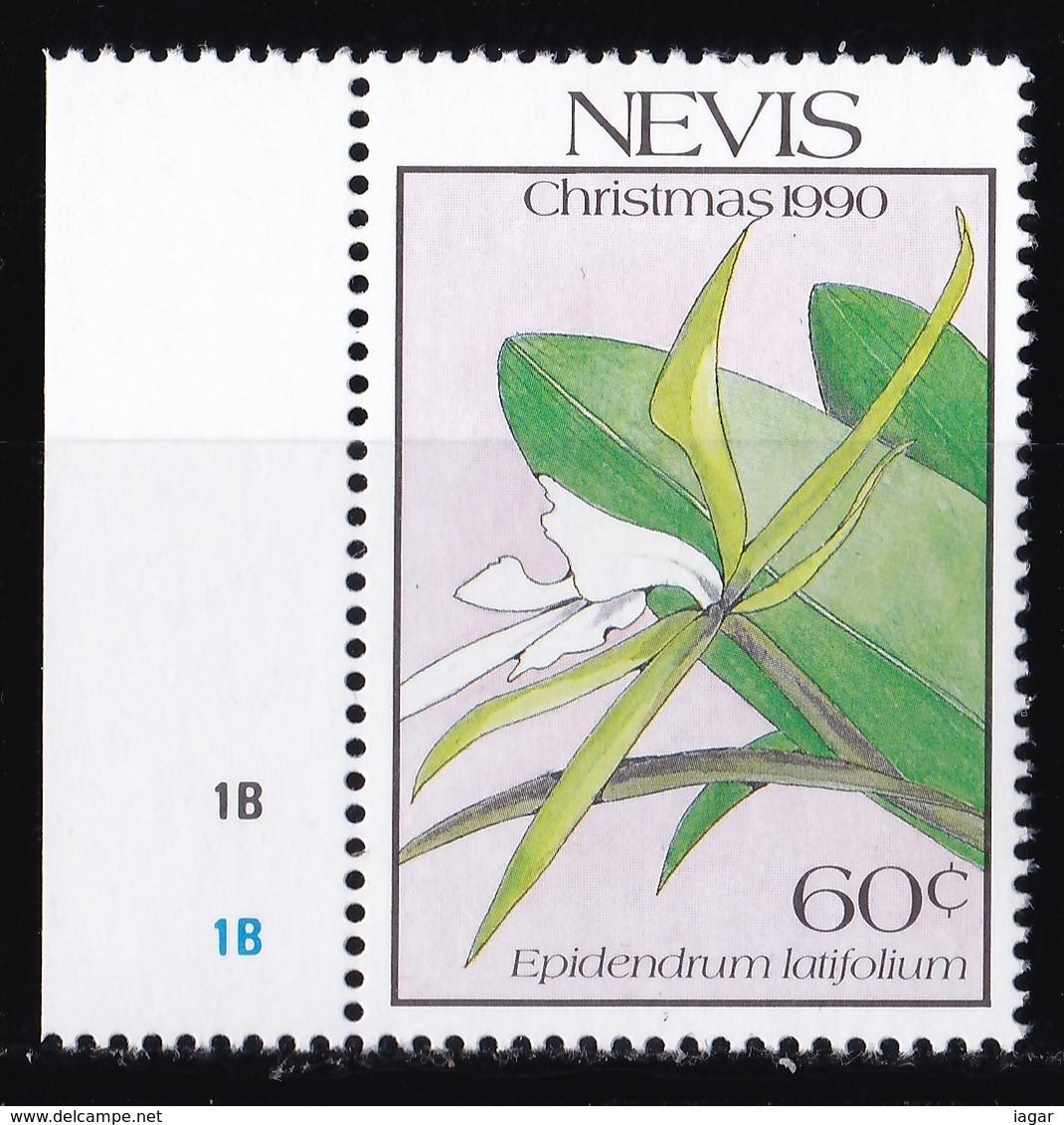 THEMATIC ORCHIDS - NEVIS - Orchids