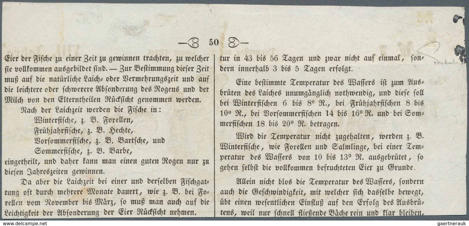 Österreich: 1858, (1,05 Kreuzer) Dunkelblau Zeitungsmarke, Type I, Allseits Voll- Bis überrandig, En - Unused Stamps