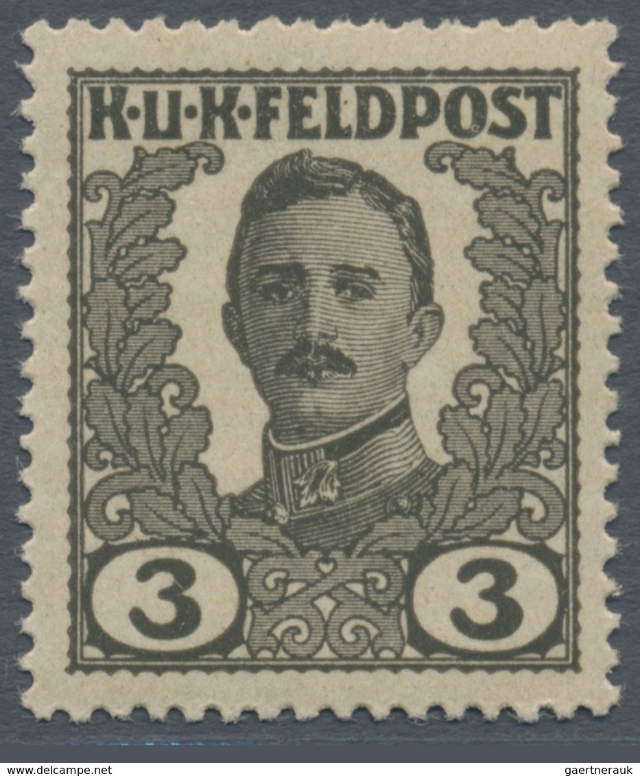 Österreichisch-Ungarische Feldpost - Allgemeine Ausgabe: 1918, Vierzehn UNVERAUSGABTE Werte 1 H Bis - Autres & Non Classés