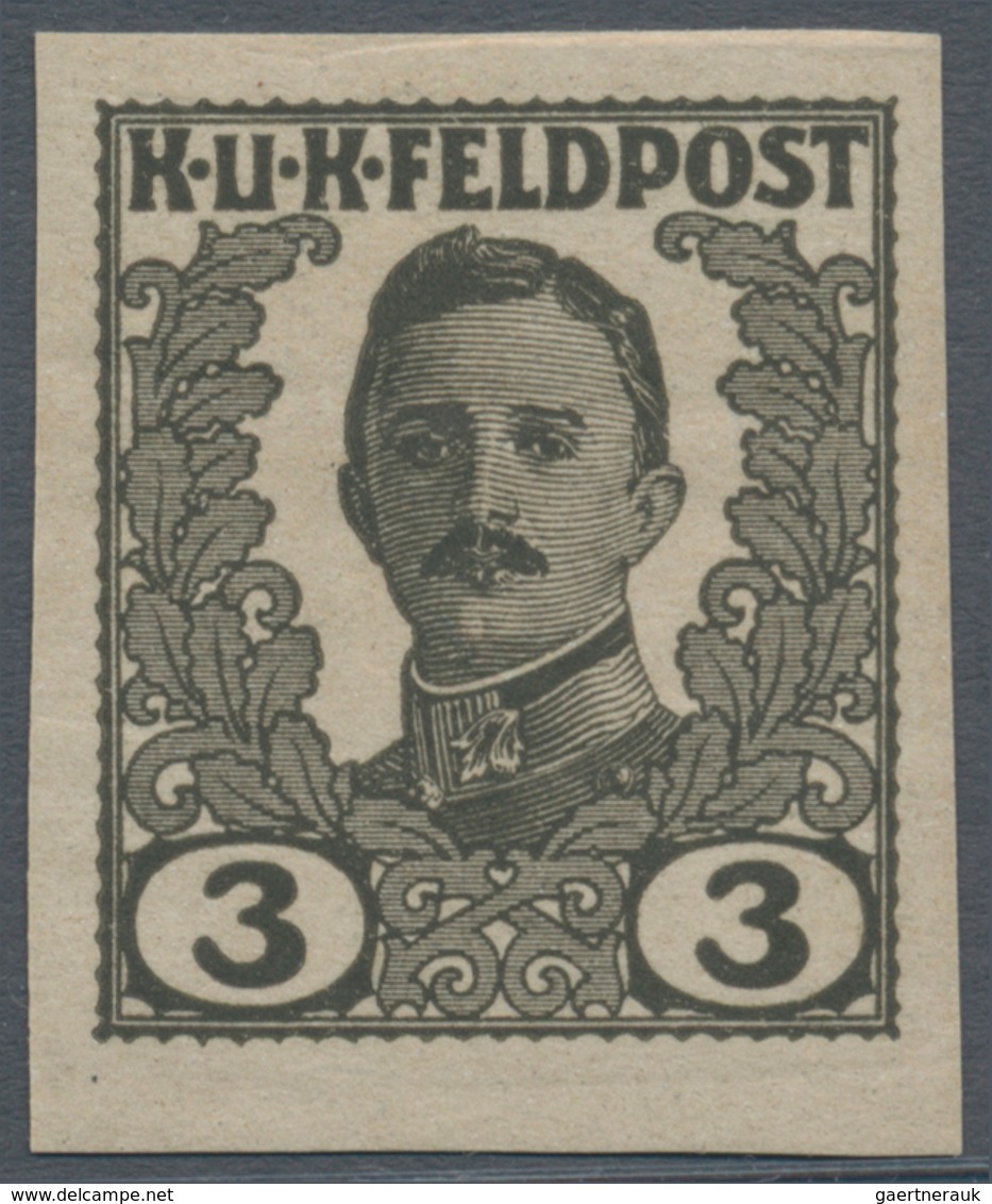 Österreichisch-Ungarische Feldpost - Allgemeine Ausgabe: 1918, Vierzehn UNGEZÄHNTE UNVERAUSGABTE Wer - Autres & Non Classés