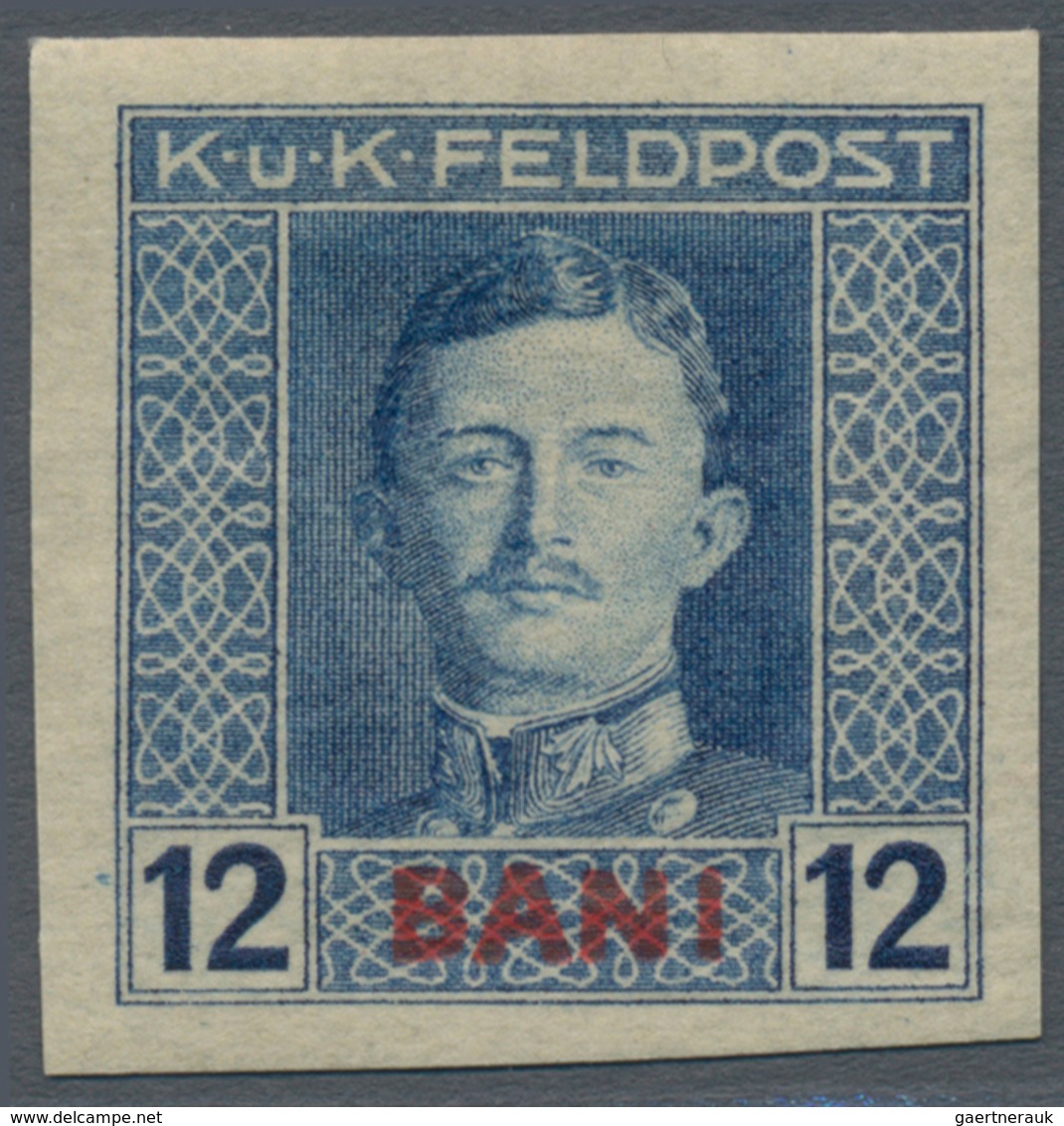 Österreichisch-Ungarische Feldpost - Rumänien: 1917, Siebzehn UNGEZÄHNTE Marken Kaiser Karl 1 H Bis - Other & Unclassified