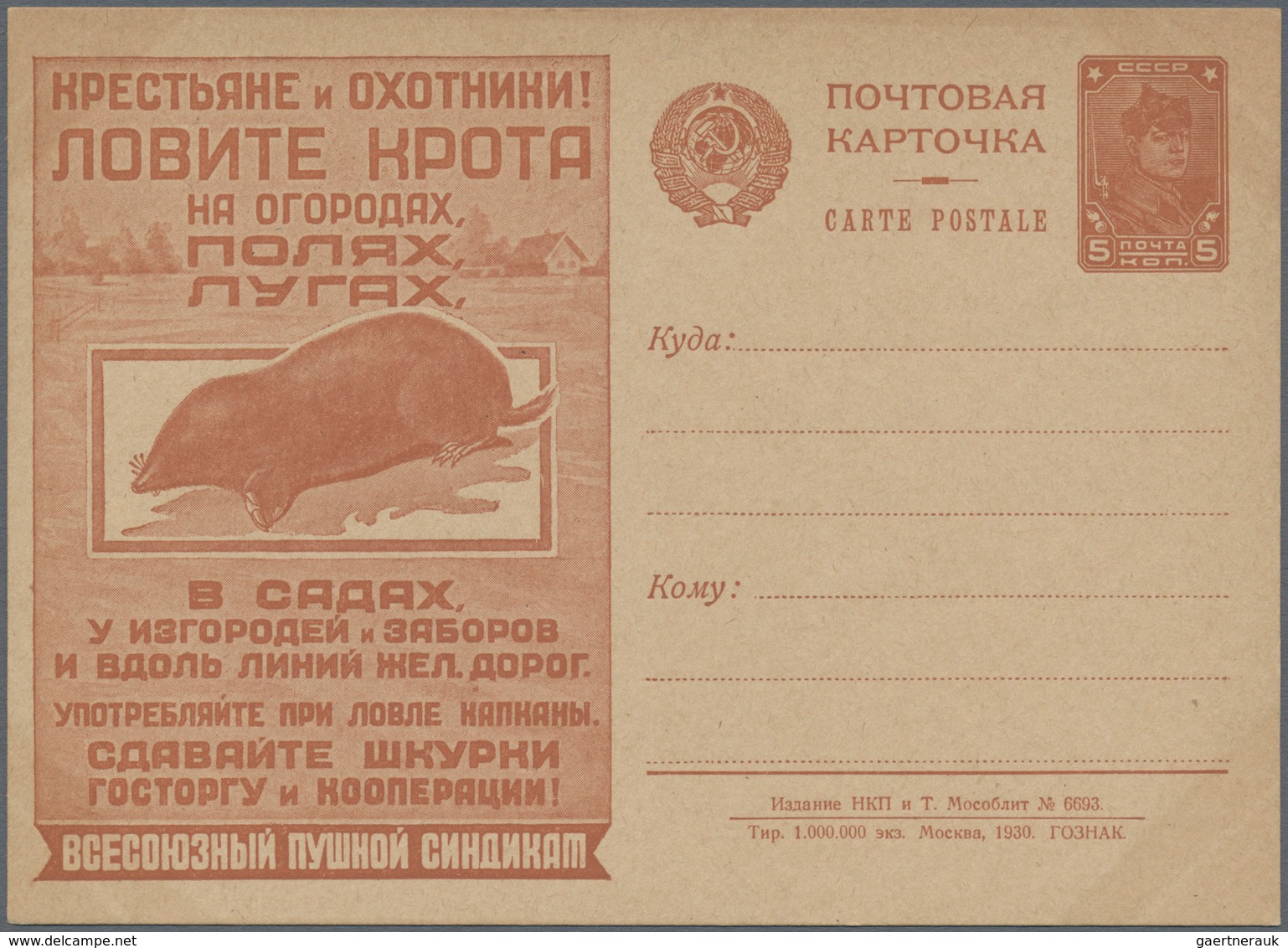 Sowjetunion - Ganzsachen: 1930, Picture Postcard Catch The Mole, Some Light Toning, Unused. - Non Classés