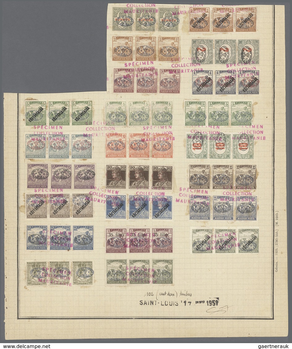 Ungarn - Besetzte Gebiete: Debrecen (Debreczin): 1919. 36 Strips Of 3 On UPU Album Page, Red Overpri - Debreczen