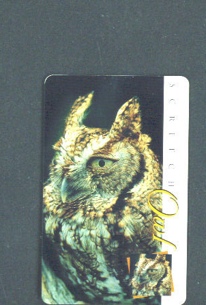 SOUTH AFRICA - Chip Phonecard/Owl - South Africa