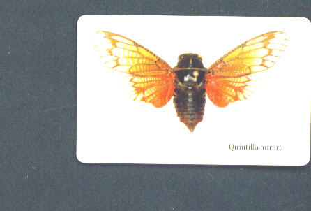 SOUTH AFRICA - Chip Phonecard/Cicada - South Africa