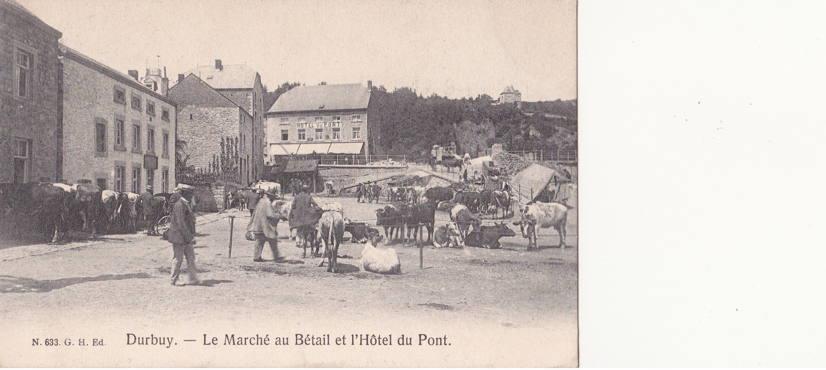 Durbuy: Le Marché Au Bétail. (1908) - Durbuy