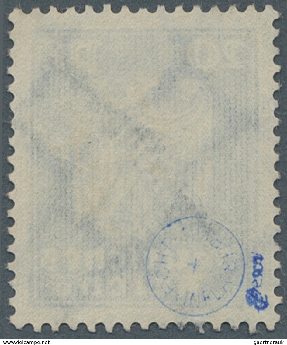 Deutsches Reich - Dienstmarken: 1924, 20 Pfg. Blau Mit KOPFSTEHENDEM Aufdruck "Dienstmarke", Zeitger - Service