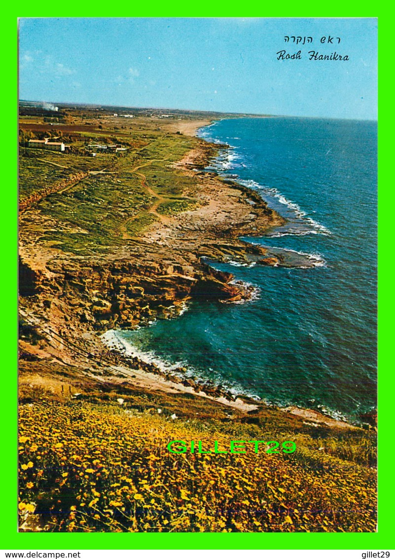 ROSH HANIKRA, ISRAEL - VIEW TOWARDS WESTERN GALILEE - PALPHOT LTD - - Israel