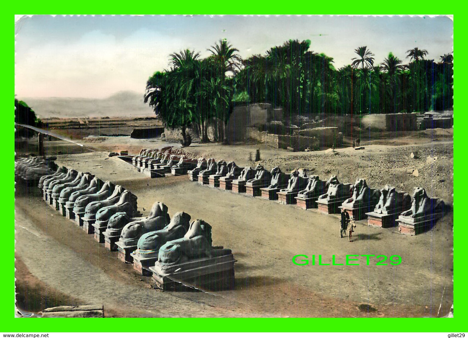 KARNAK, EGYPTE - THE AVENUE OF SPHINXES - CIRCULÉE - - Louxor