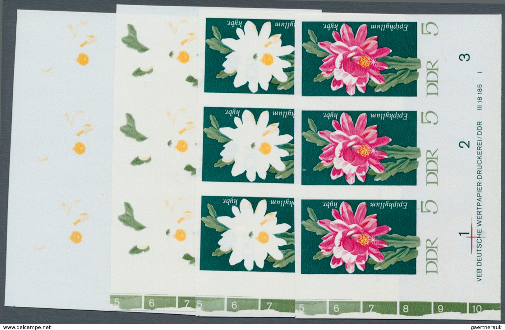 DDR: 1970, Kakteen 5 Pf. 'Blattkaktus (Epiphyllum Hybride)' In 4 Verschiedenen Ungezähnten Waagrecht - Other & Unclassified