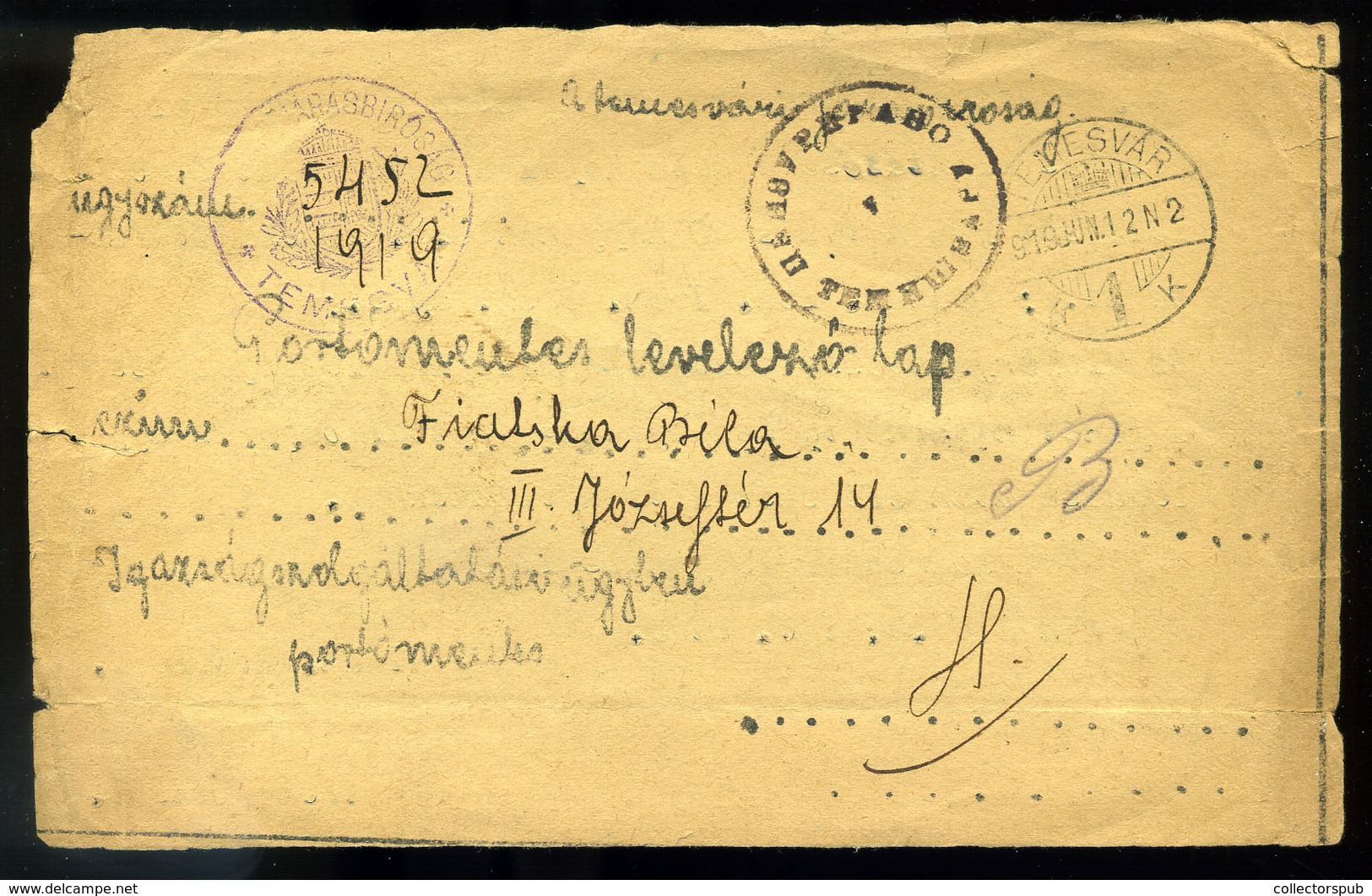 TEMESVÁR 1919.07. Érdekes Témájú, Cenzúrázott, Helyi Szükség Levlap  /  Intr. Cont. Cens. Local Improvised P.card - Covers & Documents