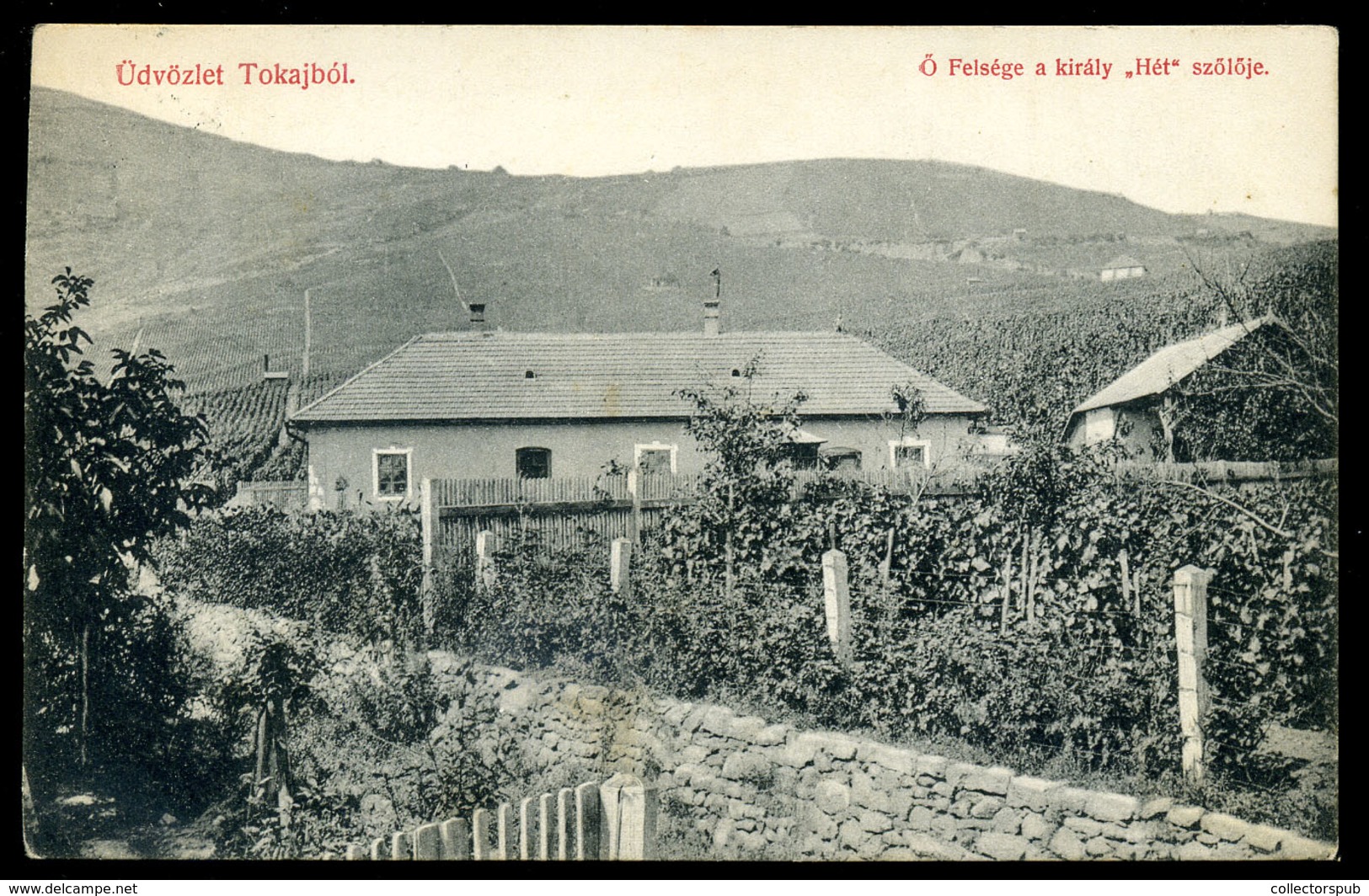 TOKAJ 1910. " Ő Felsége A Király "Hét" Szőlője"régi Képeslap  /  1910 The 7 Vineyards Of His Majesty  Vintage Pic. P.car - Hongarije