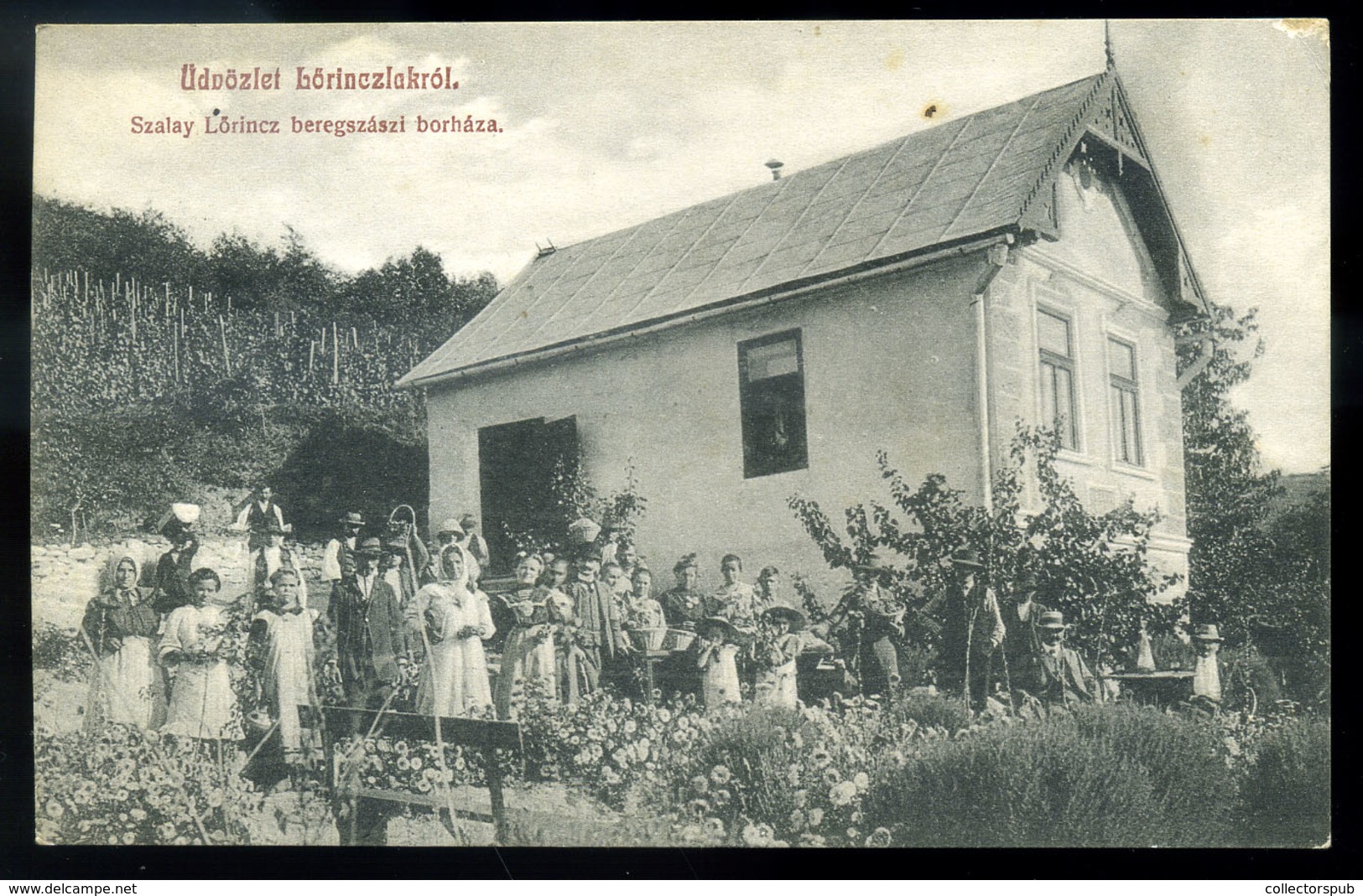 Beregszász 1911.; Szalay Lőrinc Borháza Régi Képeslap  /  1911 Lőrinc Szalay's Wine House Vintage Pic. P.card - Hungary