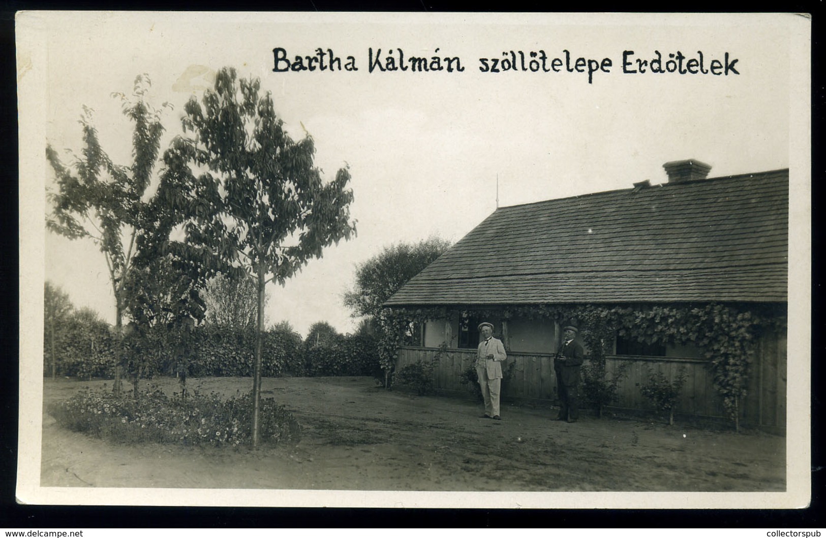 ERDŐTELEK 1934. Bartha Kálmán Szőlészete Régi Képeslap  /  1934 Kálmán Bartha's Winery Vintage Pic. P.card - Hungary