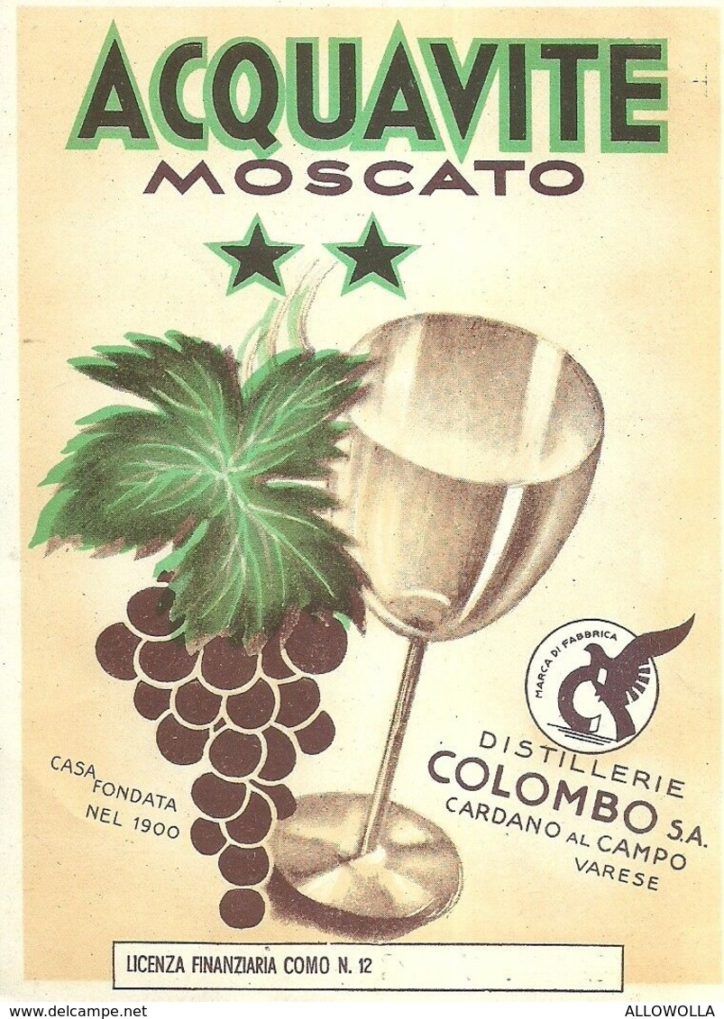 2388 " ACQUAVITE MOSCATO - DISTILLERIE COLOMBO " ETIC. ORIG. - Altri & Non Classificati