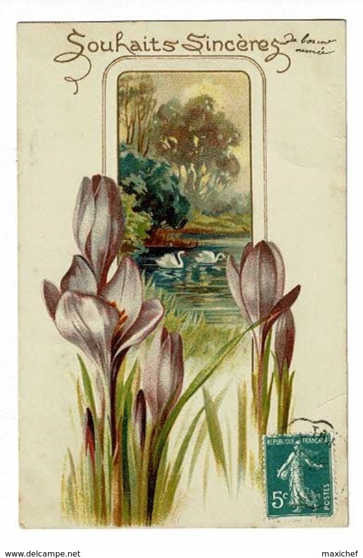 Carte Illustrée Gauffrée - Souhaits Sincères De Bonne Année (fleurs De Crocus Devant Un étang, Cygnes) Circulé 1910 - Thanksgiving