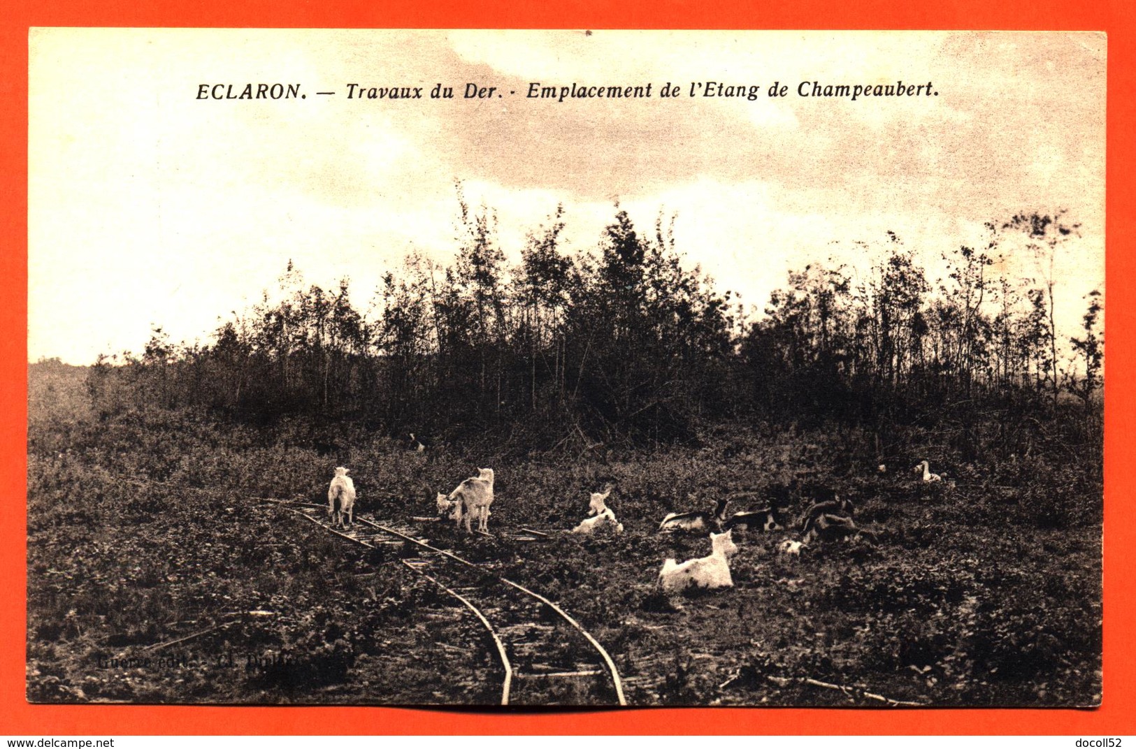 CPA 52 Eclaron " Travaux Du Der - Emplacement De L'étang De Champeaubert " Chèvres - Eclaron Braucourt Sainte Liviere