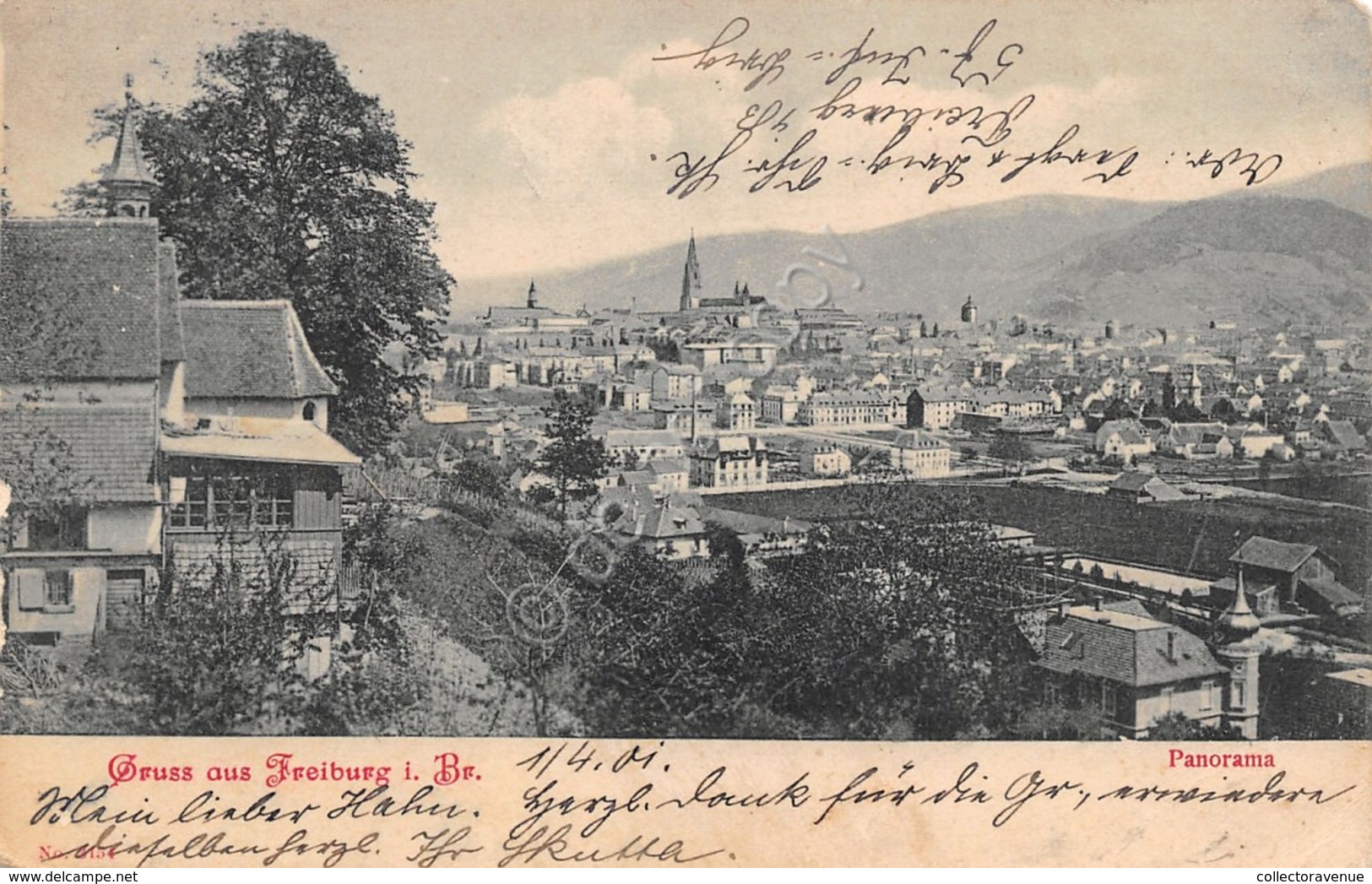 Cartolina Freiburg Gruss Aus Panorama 1901 - Non Classificati