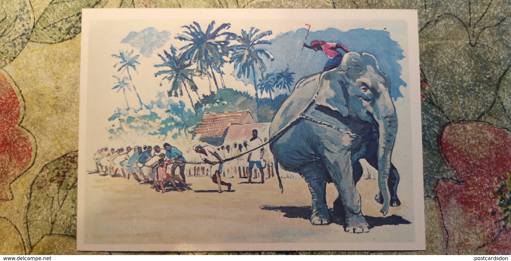 Regional Game,OLD USSR Postcard  - Tug Of War In India - Elephant  - 1981 - Jeux Régionaux