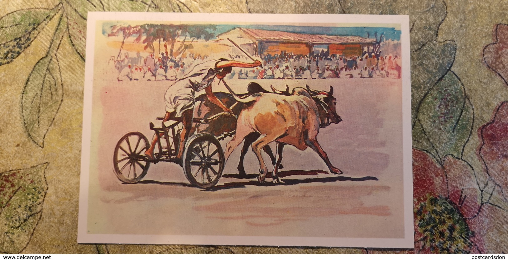 Regional Game,OLD USSR Postcard  - Bull Race  In India - - 1981 - Juegos