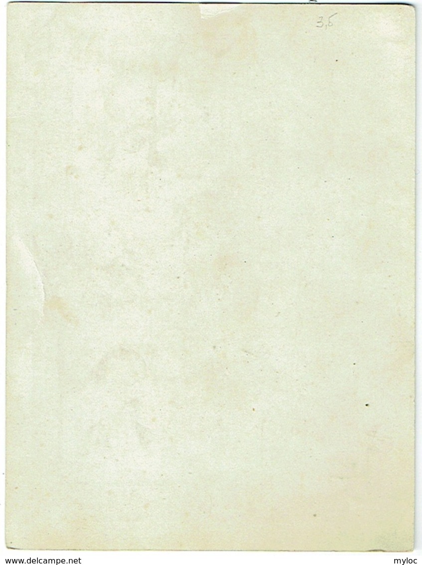 Ex Libris. Armoiries Avec Raisins. Vigneron. Au Dos écrit Bruges 1808. - Ex Libris