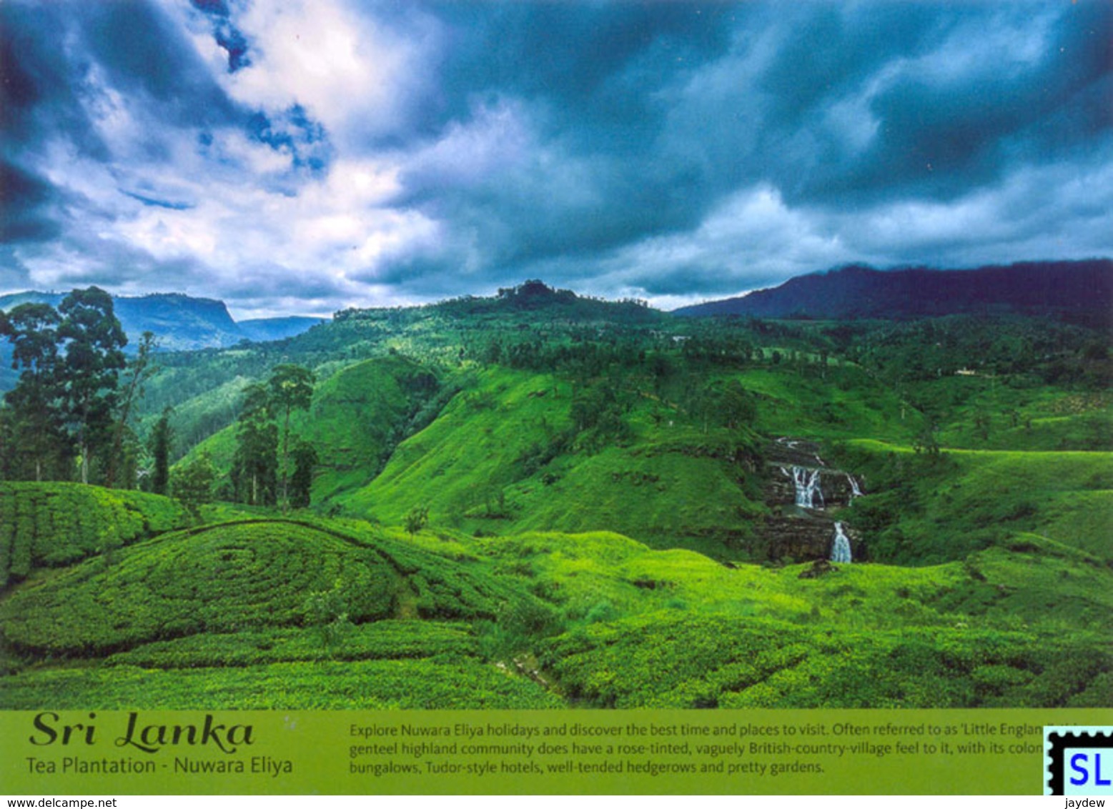 Sri Lanka Postcards, Tea Plantation, Nuwaraeliya, Postcrossing - Sri Lanka (Ceylon)