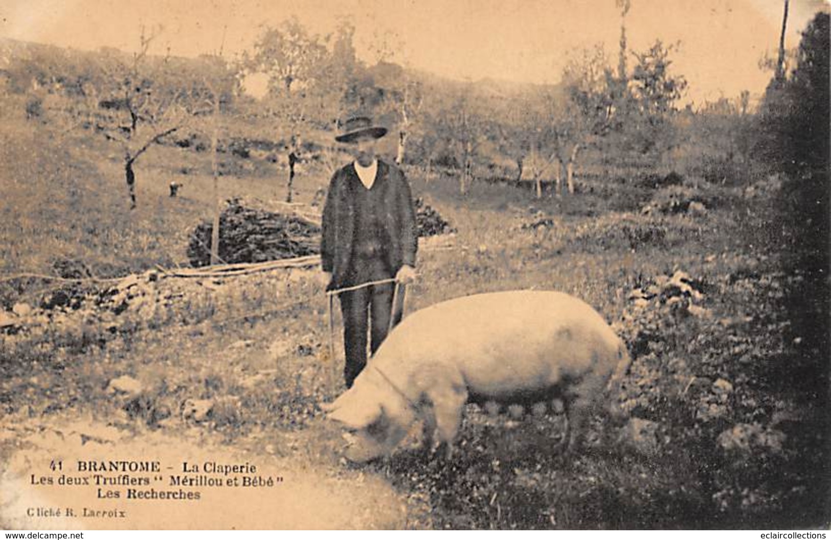 Brantome           24         Recherche De La Truffe .Les Deux Truffiers Mérillou Et Bébé  2         (voir Scan) - Brantome