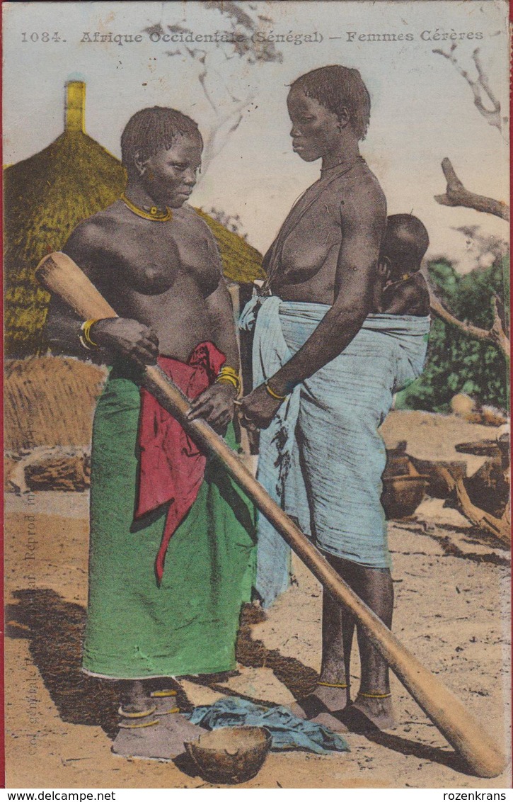 Senegal 1916 Femmes Cereres Aux Seins NUS Nu Afrique Occidentale Etnique Etnic Africa Naked Etnisch Naakt - Senegal